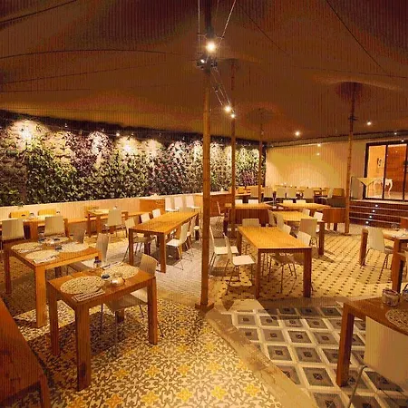 酒店 坎耶莱斯海滩酒店 4*
